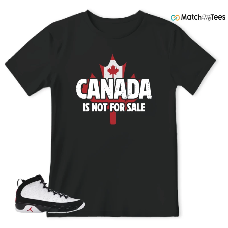 NIKE JORDAN 9 RETRO OG SPACE JAM (2026) SNEAKER Matching Tees t-shirt