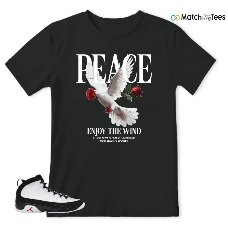 NIKE JORDAN 9 RETRO OG SPACE JAM (2026) SNEAKER Matching Tees t-shirt
