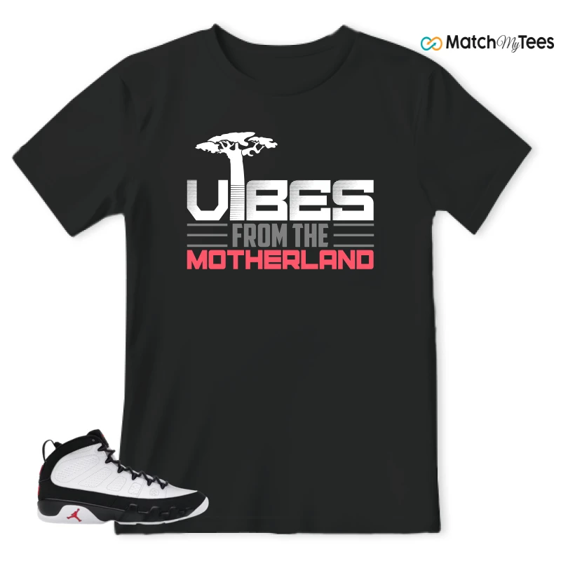 NIKE JORDAN 9 RETRO OG SPACE JAM (2026) SNEAKER Matching Tees t-shirt