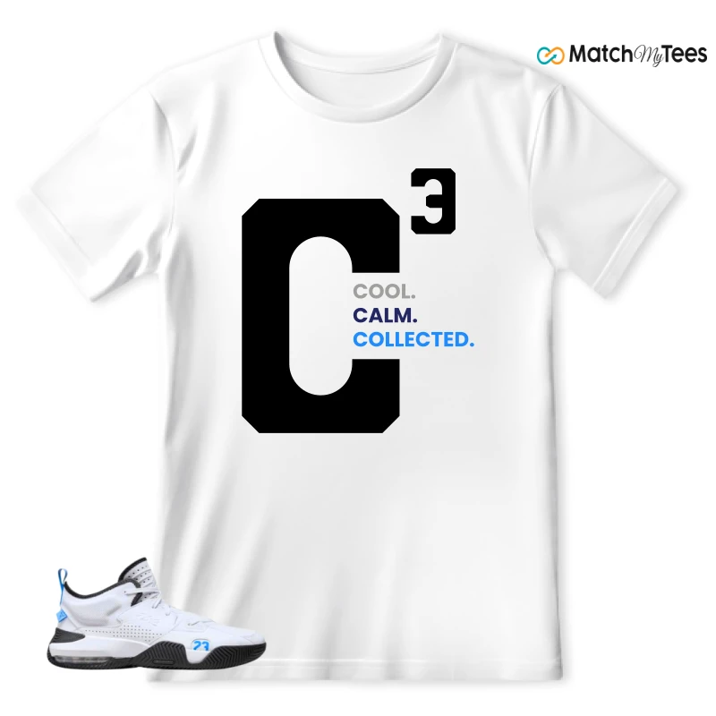 NIKE JORDAN STAY LOYAL 2 WHITE BLACK BLUE SNEAKER Matching Tees t-shirt