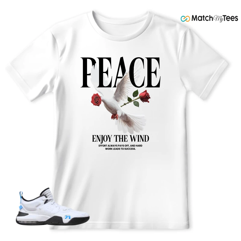 NIKE JORDAN STAY LOYAL 2 WHITE BLACK BLUE SNEAKER Matching Tees t-shirt