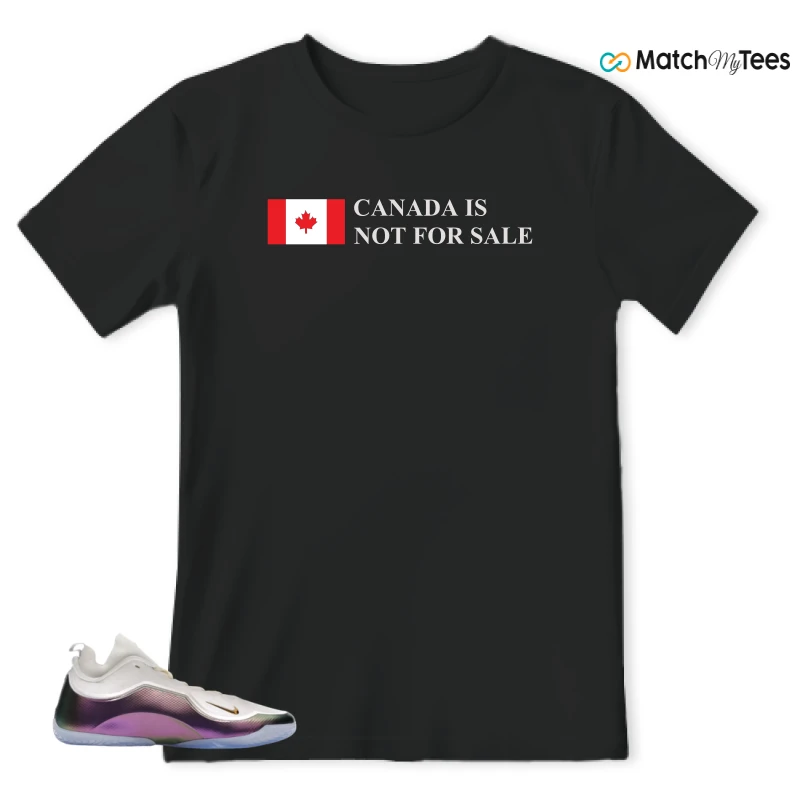 NIKE LEBRON 23 ELITE FOR THE RECORD SNEAKER Matching Tees t-shirt