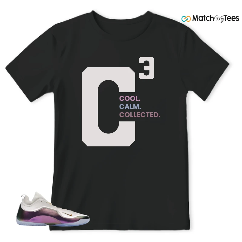 NIKE LEBRON 23 ELITE FOR THE RECORD SNEAKER Matching Tees t-shirt