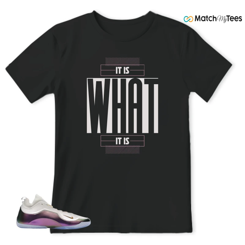 NIKE LEBRON 23 ELITE FOR THE RECORD SNEAKER Matching Tees t-shirt