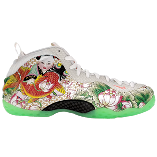 Match Your  Air Foamposite One