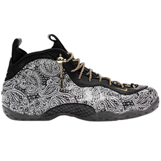 Match Your  Air Foamposite One