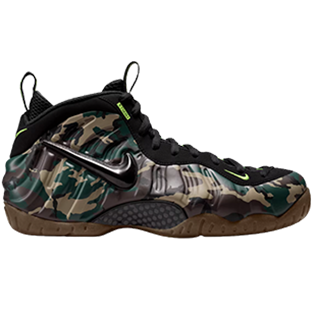 Match Your  Air Foamposite Pro