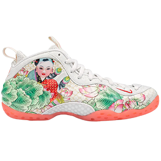 Match Your  Air Foamposite One